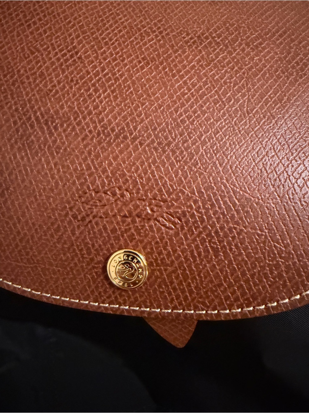 Longchamp Large Le Pilage Backpack in black - Picture 10 of 13